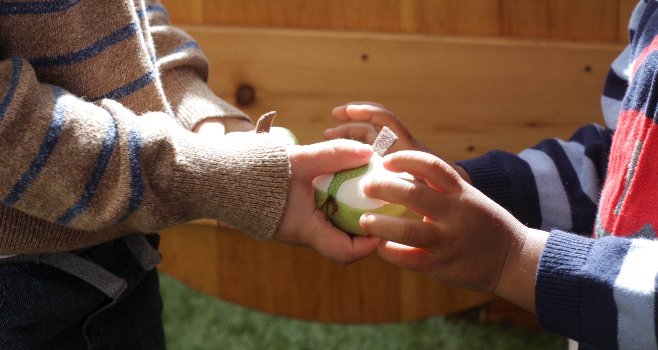 Tips on Helping Your Child Learn to Share