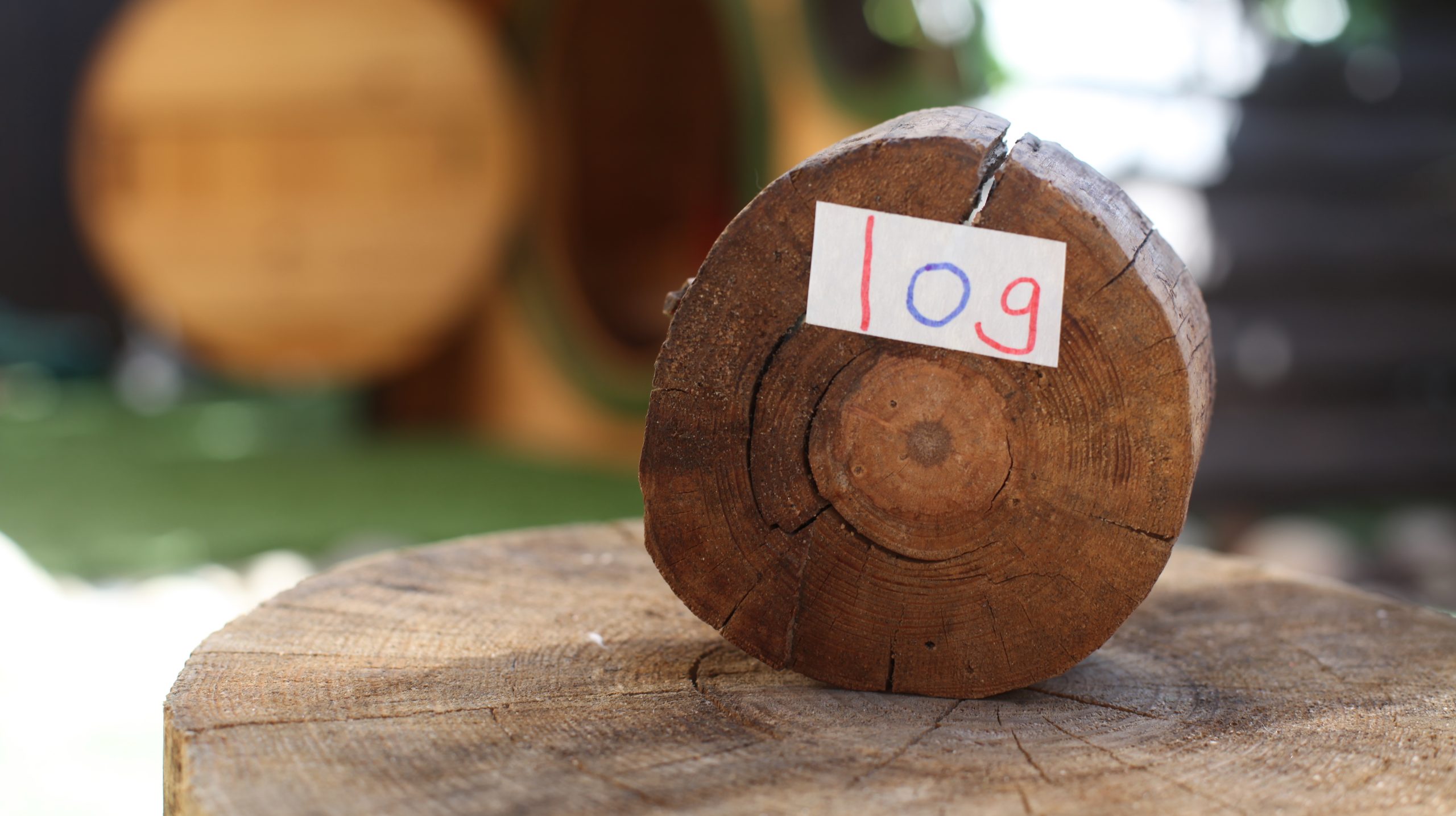 Synergy of Reggio and Montessori: Groundbreaking Approach to Raise All-Round Developed Children