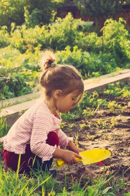 https://kids-collective.com/wp-content/uploads/2025/07/garden.jpg